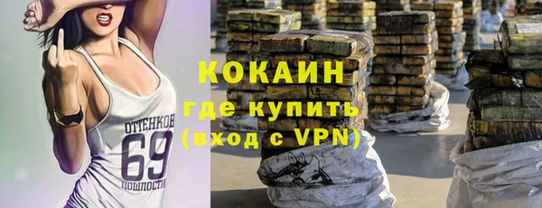 тгк Лиски