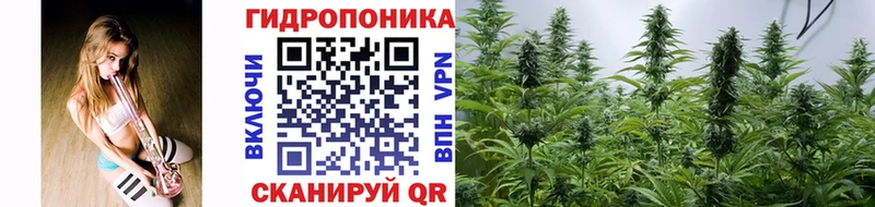 Каннабис MAZAR  Динская 